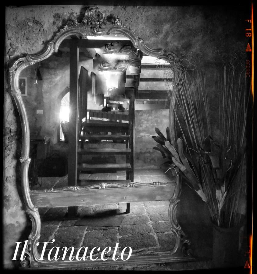 Отель Il Tanaceto Кастильоне-ди-Сицилия Экстерьер фото